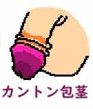包茎じゃない人