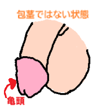 包茎じゃない人