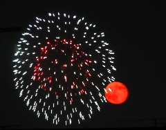 カリブ・ラテンアメリカ フェステバル