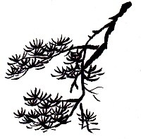 水墨で松の木を描く