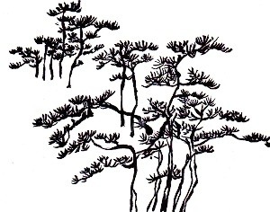水墨で松の木を描く