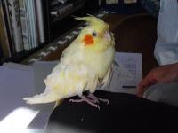 夕食は娘と一緒・・・