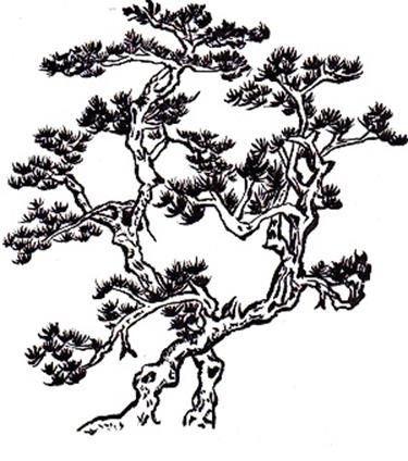 水墨で松の木を描く