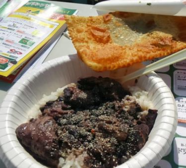 ブラジルカーニバル2015＿inお台場！ガンダムも！