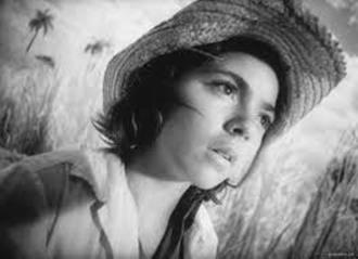 怒りのキューバ_ミハイル・カラトーゾフ