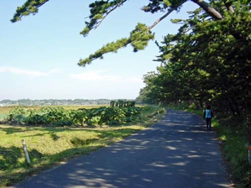福島の思い出 【失われた風景】