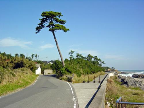 福島の思い出 【失われた風景】