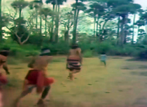 インド版砂漠の冒険