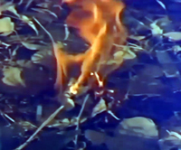 インド版砂漠の冒険