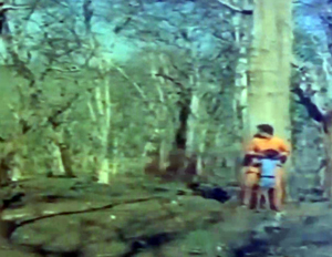 インド版砂漠の冒険