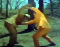 インド版砂漠の冒険