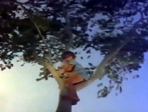 インド版砂漠の冒険